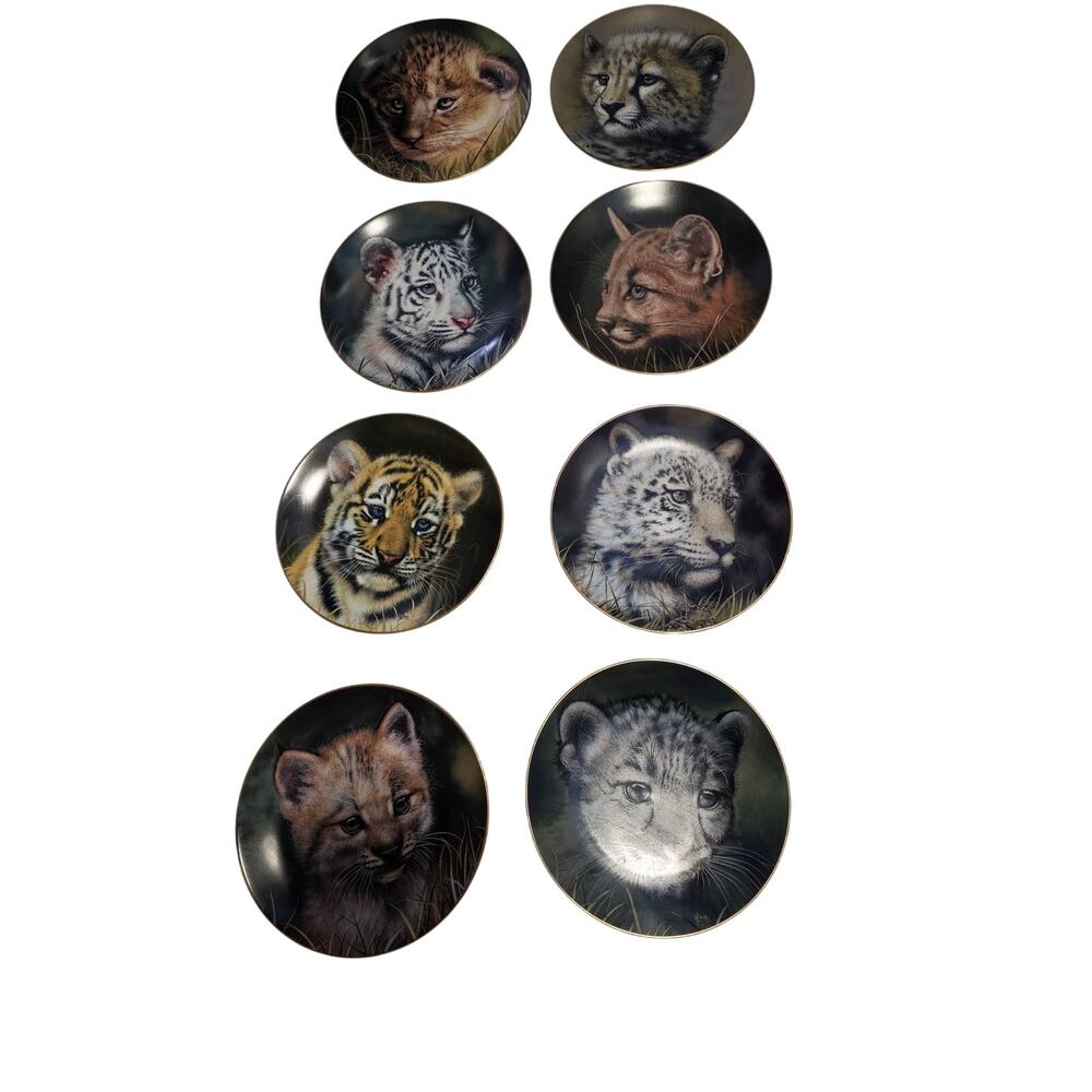 Princeton Gallery Cubs of the Big Cats Plate Collection Set of 8 Complete
